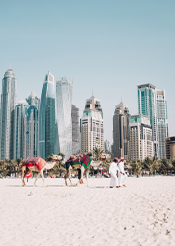 United Arab Emirates Visa